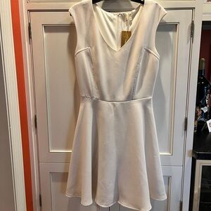 Francesca’s m I a in I Dress